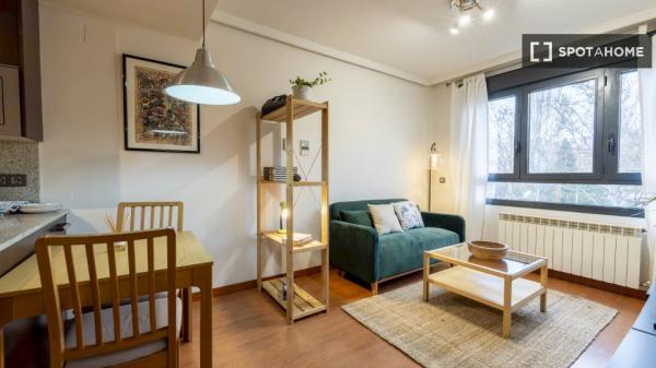 Apartamento entero de 1 habitaciones en Madrid