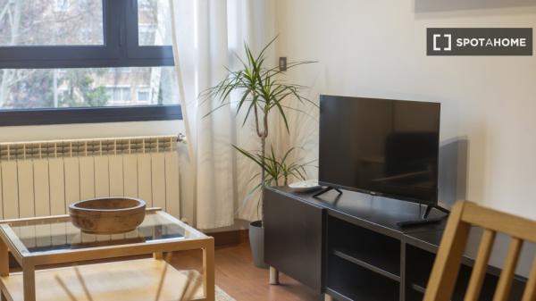 Apartamento entero de 1 habitaciones en Madrid