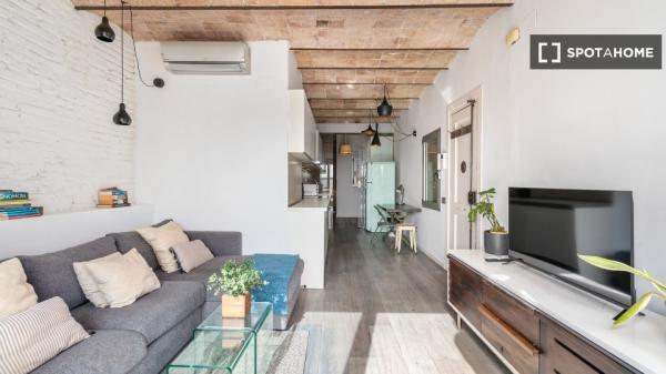 Apartamento entero de 1 dormitorio en Barcelona