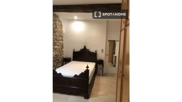 Whole 4 bedrooms apartment in Donostia