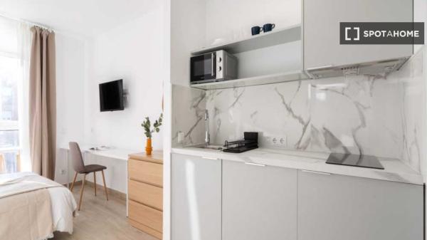 Habitación individual soleada con baño privado y con terraza