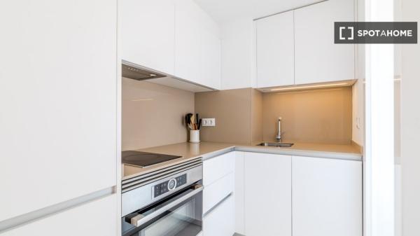 Apartamento entero de 1 habitaciones en Madrid