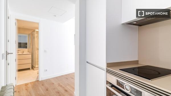 Apartamento entero de 1 habitaciones en Madrid