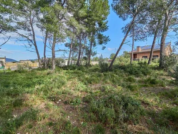 Casa o chalet independiente en venta en calle Muntanyesos, 50