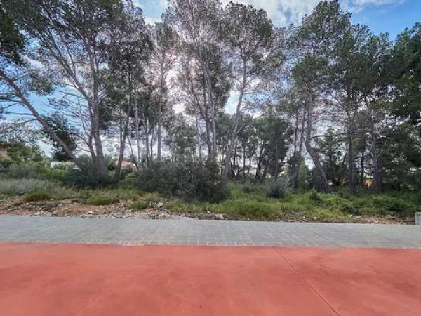 Casa o chalet independiente en venta en calle Muntanyesos, 50