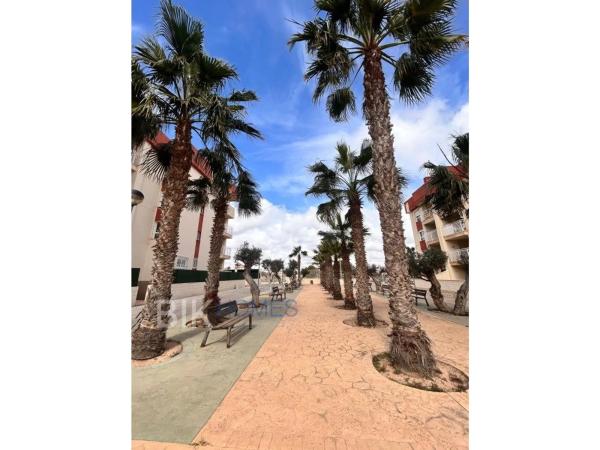 Piso en Barrio Lomas de Cabo Roig-Los Dolses