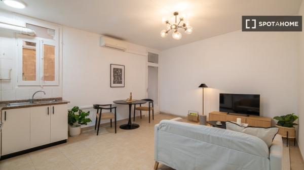 Estudio en alquiler en El Gòtic, Barcelona