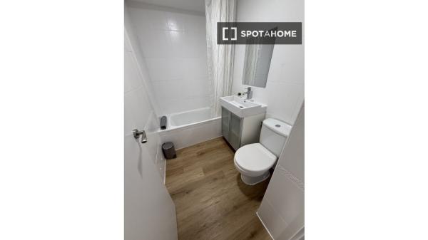 Room in shared 4-bed flat Alcalá de Henares.